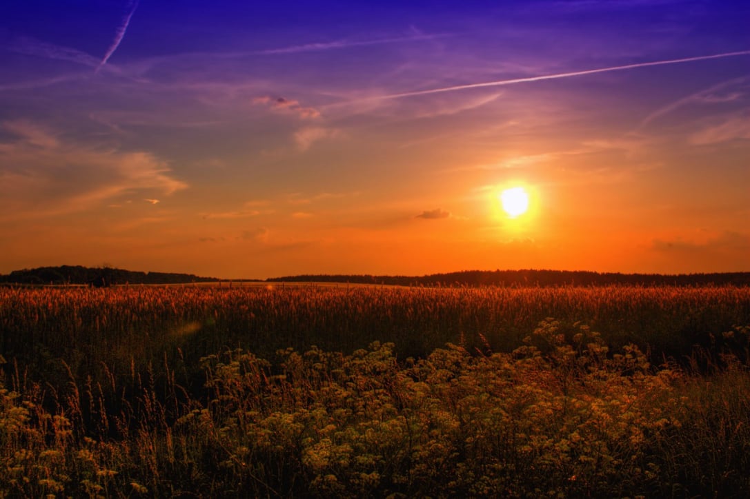 A Sunset